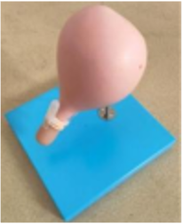 Simulador cerclaje uterino