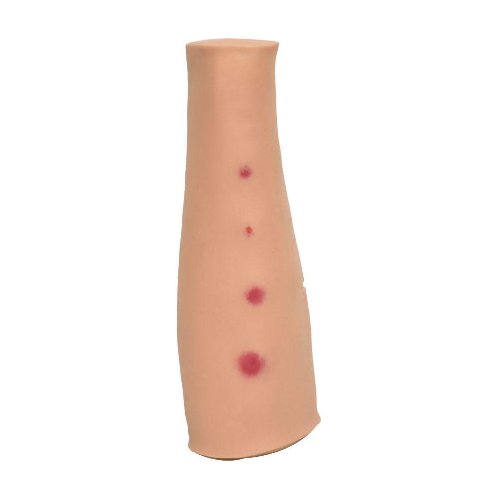 Brazo de entrenamiento para inyección intradérmica
