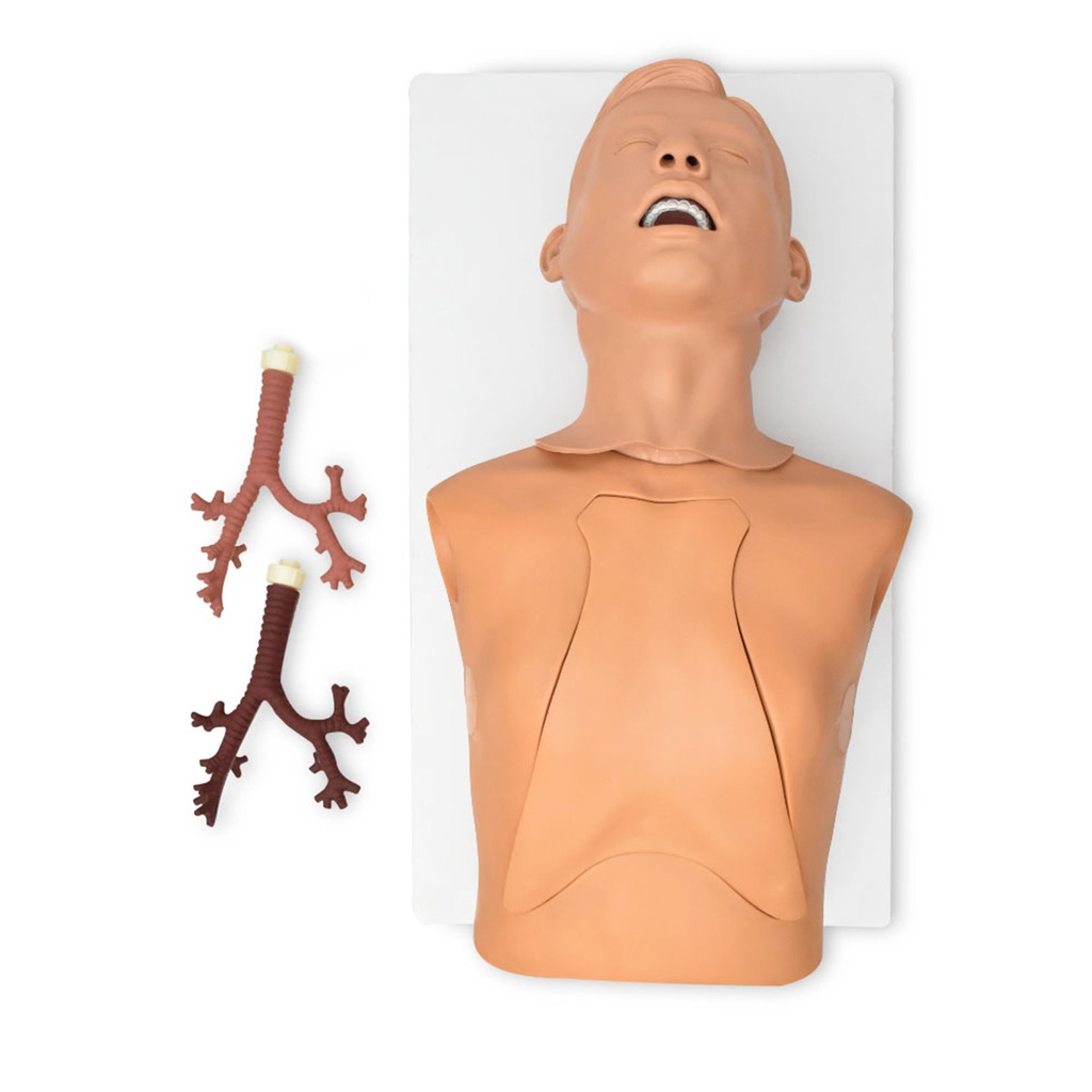 Simulador para introscopia de bronquios