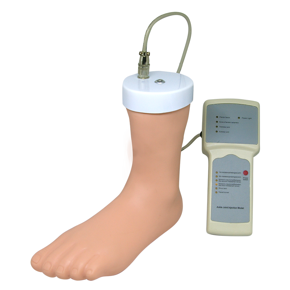 Simulador de inyección de tobillo