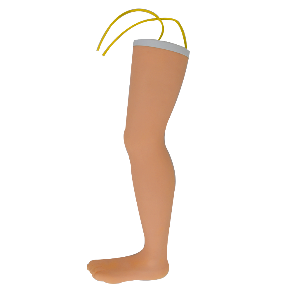 Simulador avanzado de pierna adulta para venipuntura