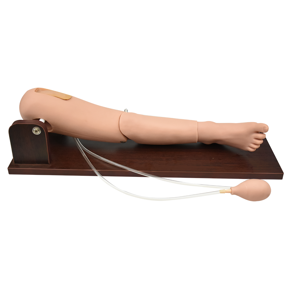 Simulador de extracción de sangre en el femoral y punción en la médula
