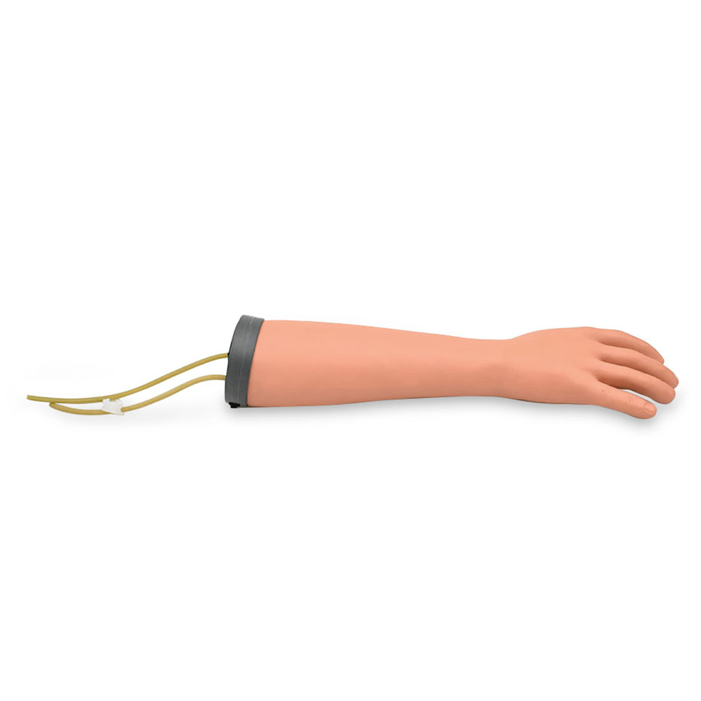 Mano de entrenamiento para inyección y transfusión sanguínea.