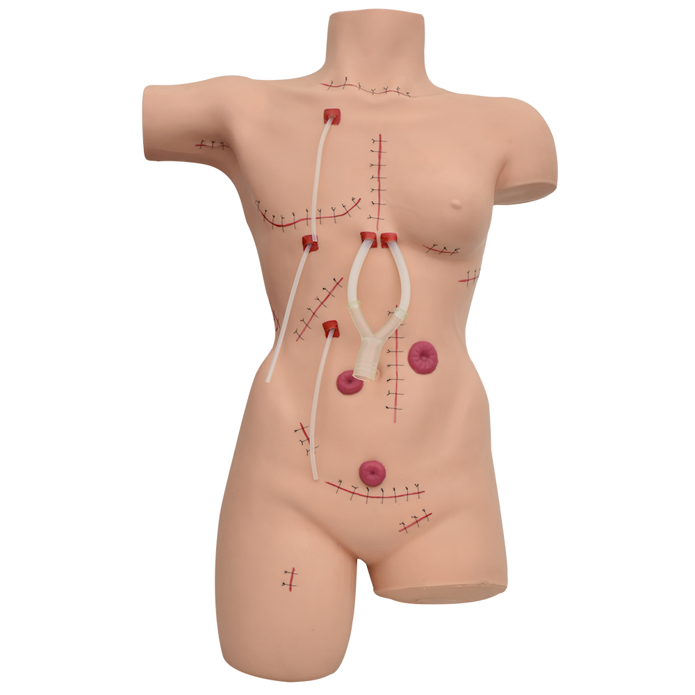 Maniquí de sutura y vendaje