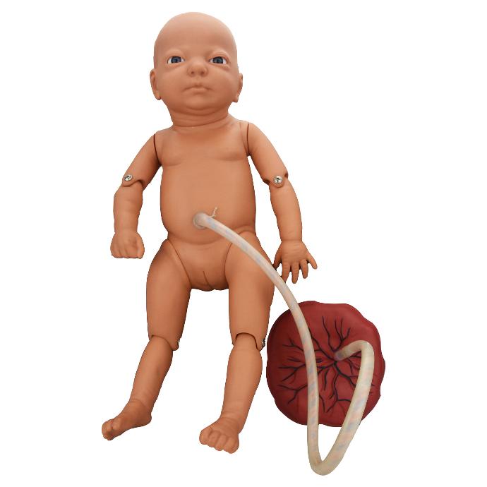 Modelo de neonato (niña) con placenta y cordón umbilical para cuidados de enfermería