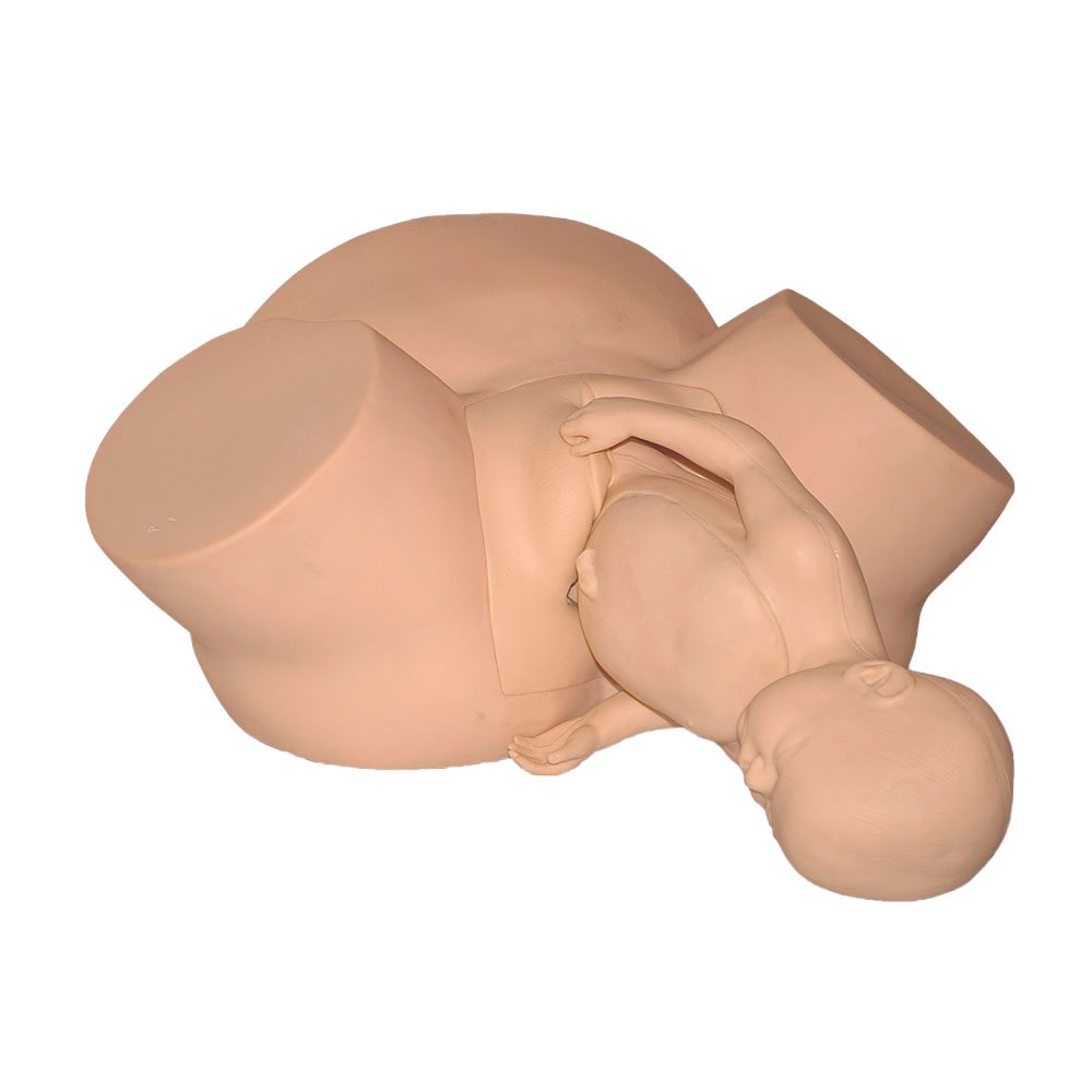 Simulador de alumbramiento