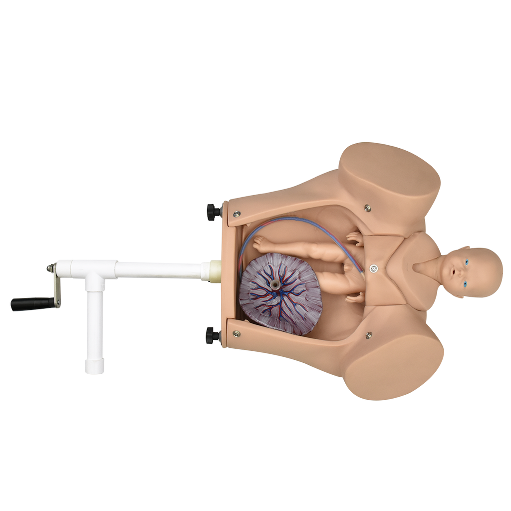 Simulador de palpación abdominal avanzado y parto con mecanismo integrado, incluye kit dilataciones.