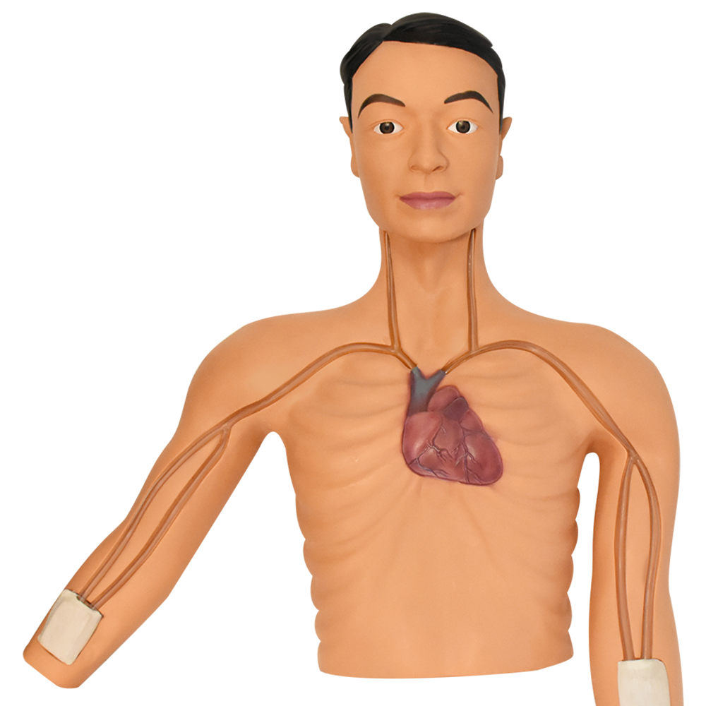 Simulador de intervención de picc