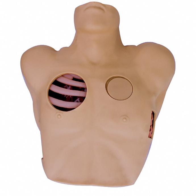 Simulador de drenaje pleural