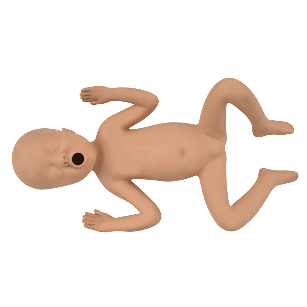 Recien nacido prematuro 24 semanas