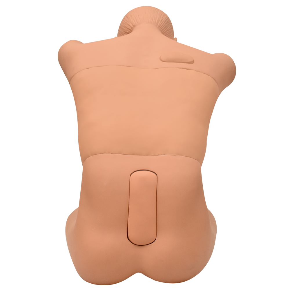 Simulador punción integral (posición sentada)