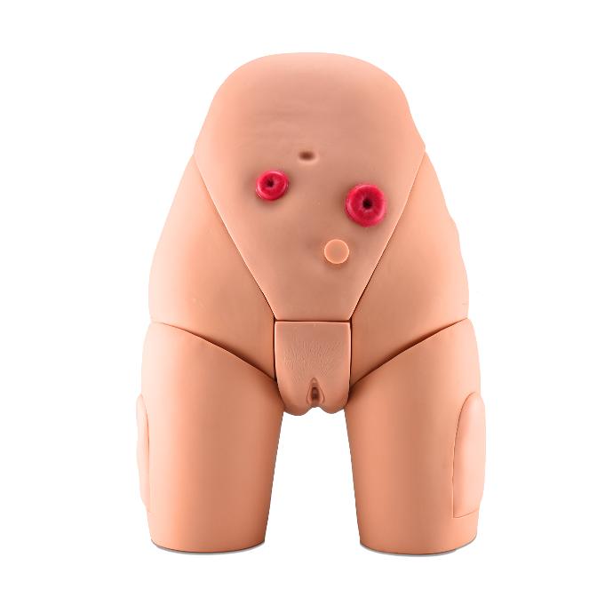 Simulador de cateterización femenino