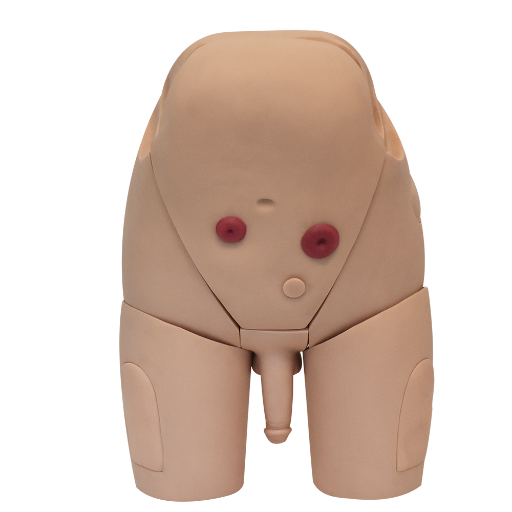 Simulador de cateterismo transuretral y suprapúbico en el hombre