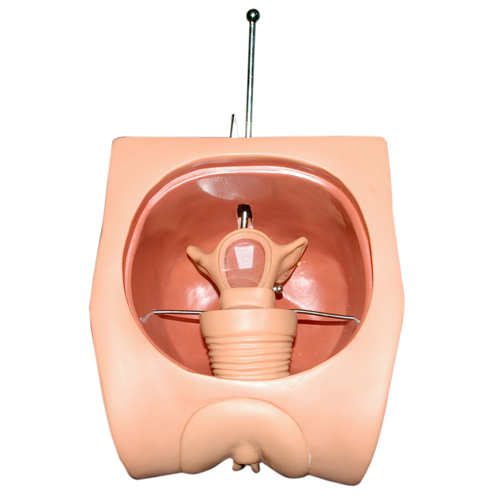 Simulador colocación dispositivo intra uterino