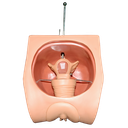 Simulador colocación dispositivo intrauterino