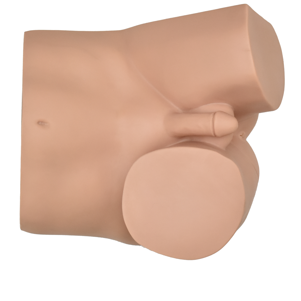 Simulador avanzado de examen de tacto rectal