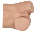 Simulador avanzado de examen de tacto rectal