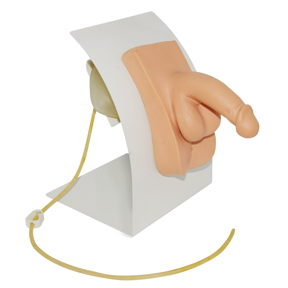 Simulador básico de cateterismo masculino