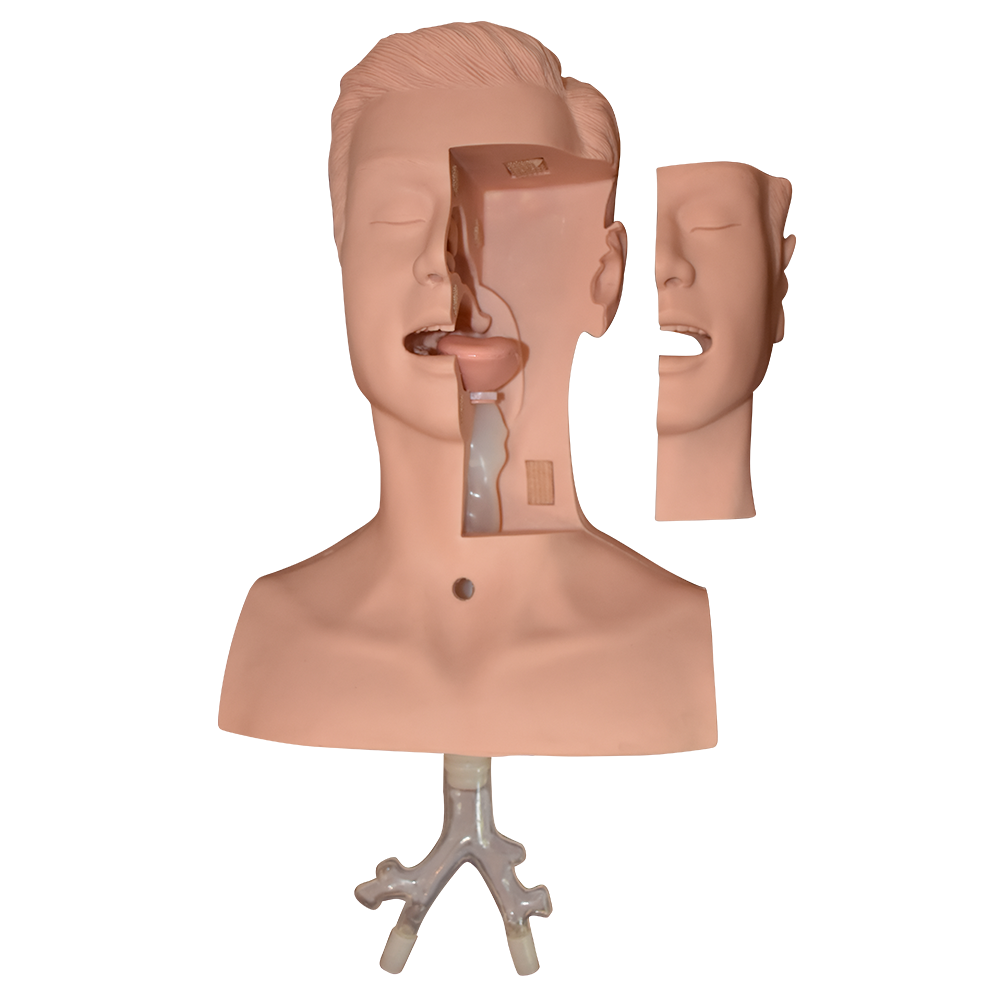 Simulador para el entrenamiento de succiòn y traqueotomia avanzada