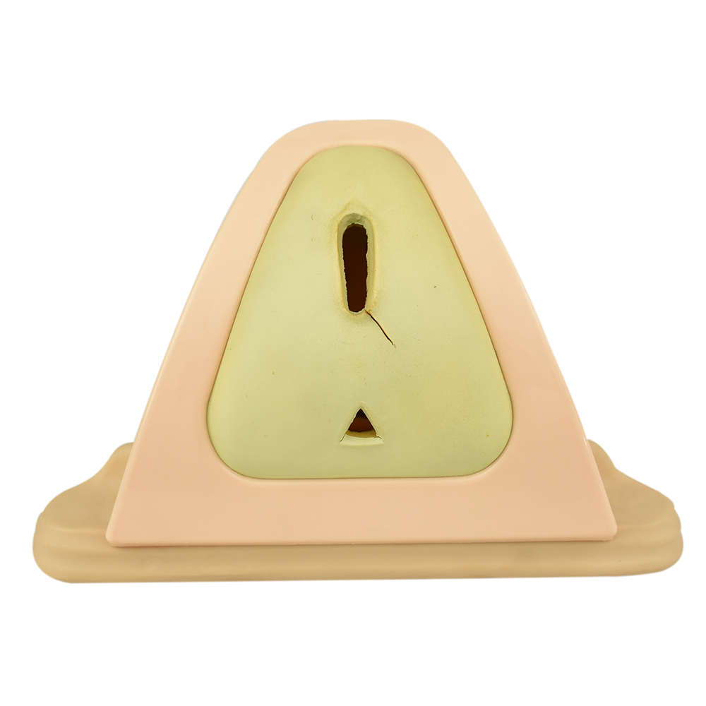 Entrenador de episiotomía y sutura