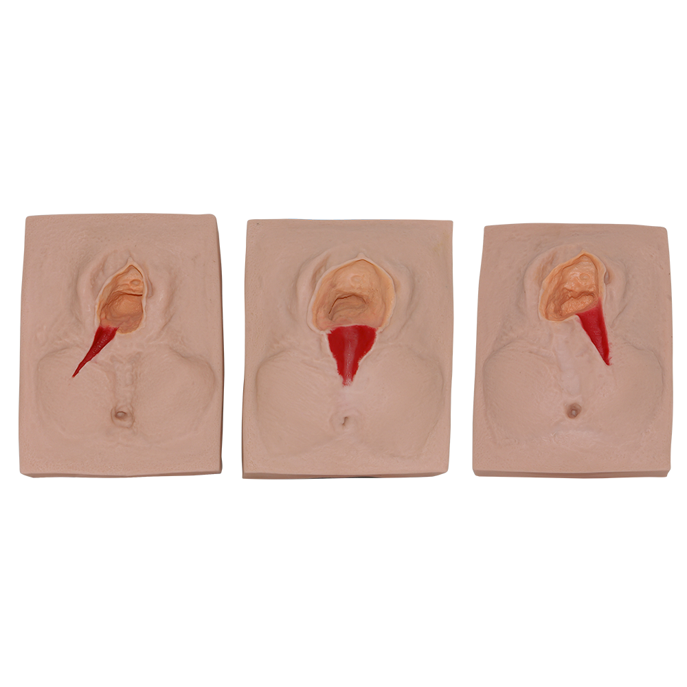 Simulador de vulva para sutura