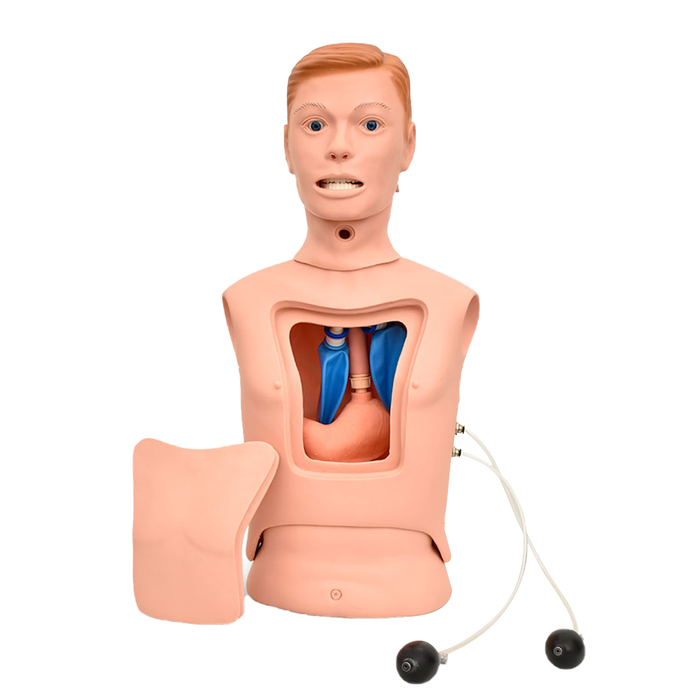 Simulador para la alimentación nasogastrica e intubaciòn traqueal