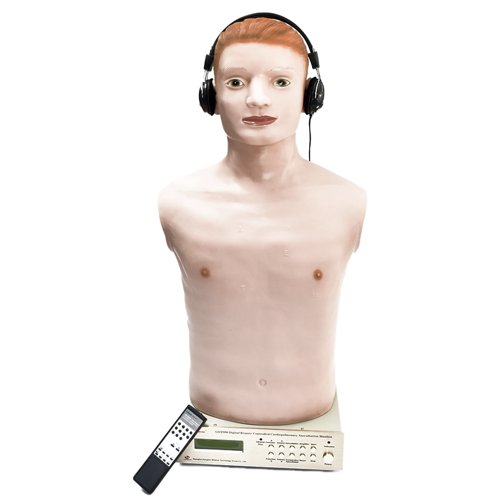 Maniquí de auscultación