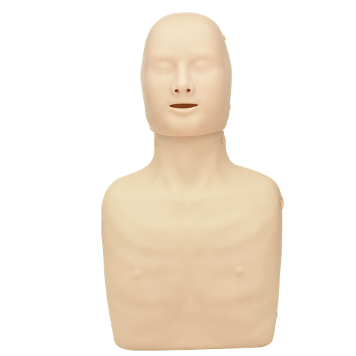 Maniquí de entrenamiento rcp. medio cuerpo. control de tensión para niño y adulto
