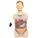 Simulador lavado gastrico transparente