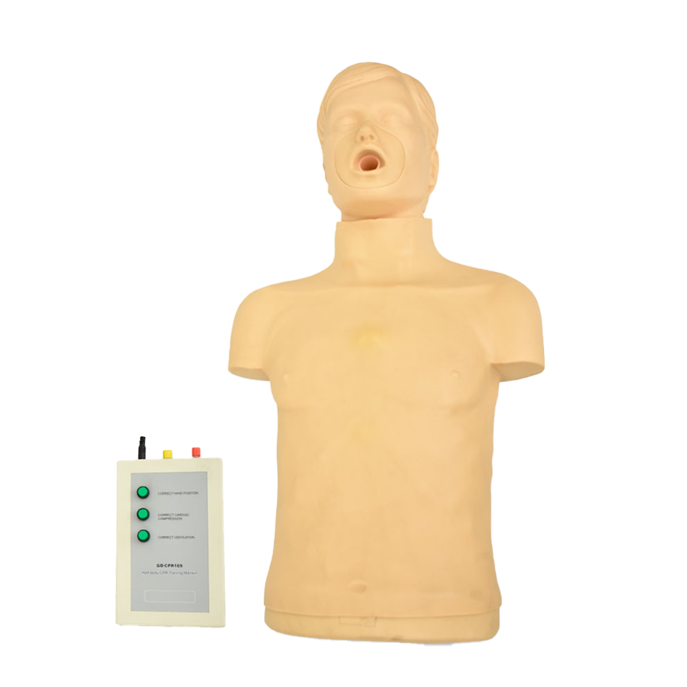 Maniquí de medio cuerpo para entrenamiento RCP y obstrucción.