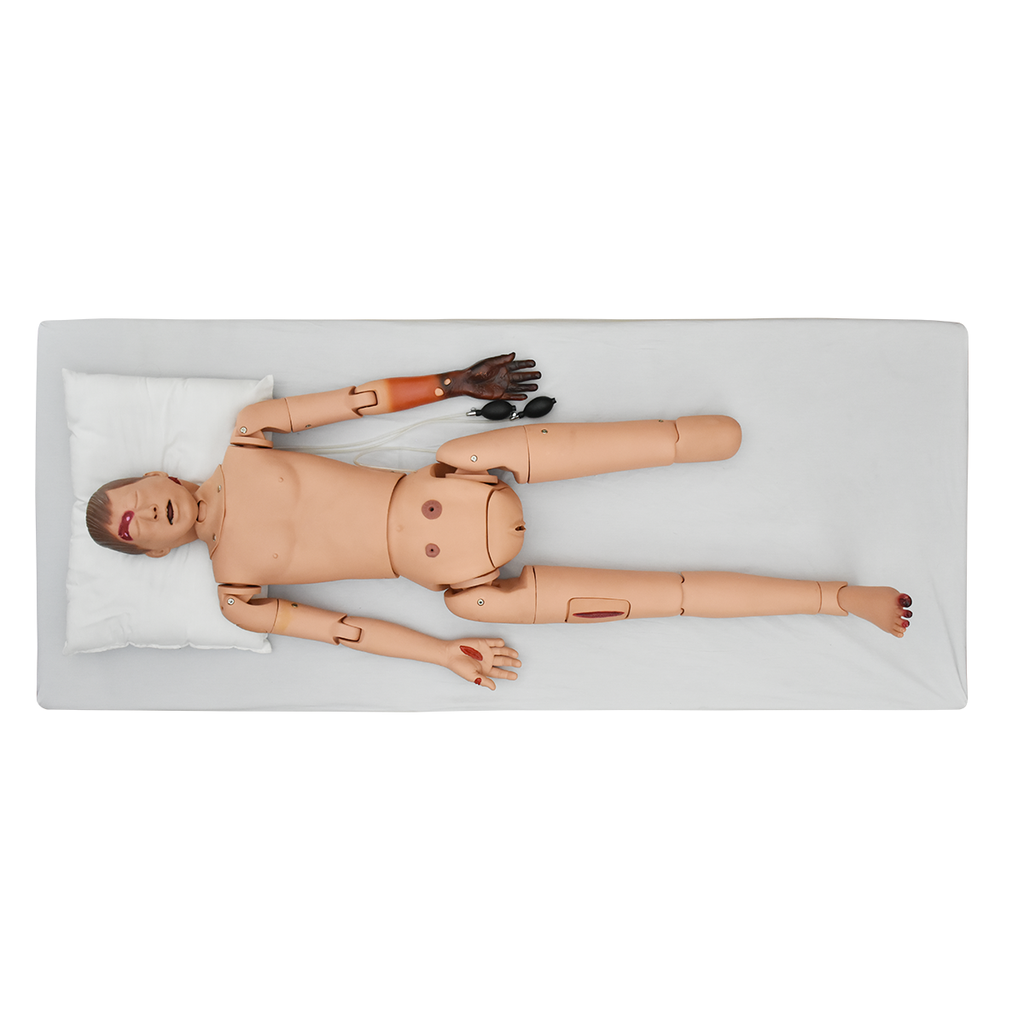 Simulador de trauma standard