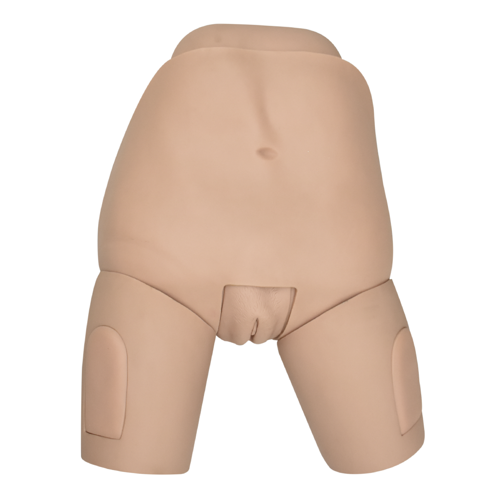 Simulador avanzado de examen de útero