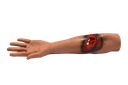 Brazo para entrenamiento de sangrado