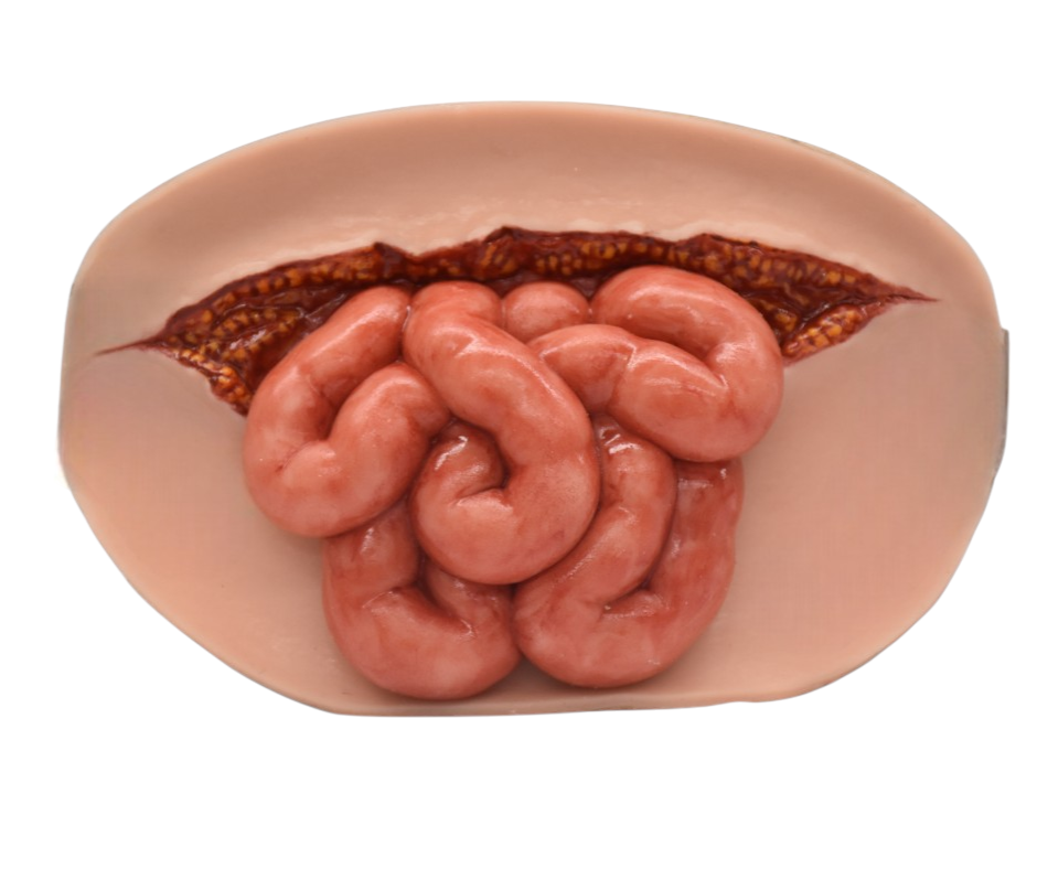 Simulador de laceración abdominal con viceras expuestas sobreponible (copia)