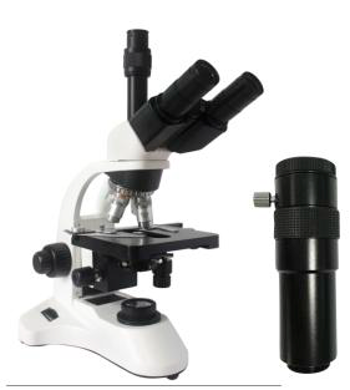 Microscopio biológico trinocular