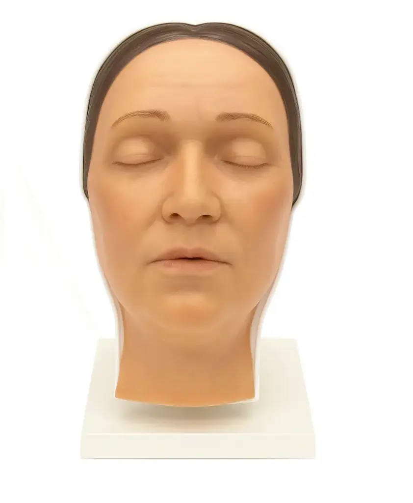 Simulador de cara para entrenamiento de inyección de rellenos y botox