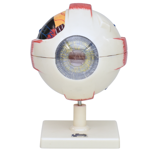 [OJO-6-1] Ojo a escala 6 a 1