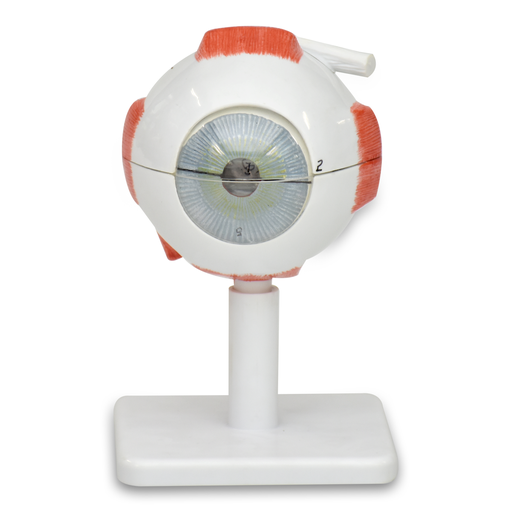 [OJO-3] Ojo a escala 3 a 1