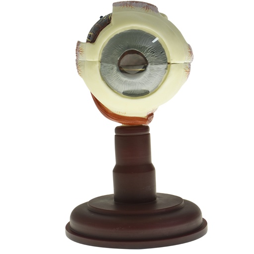 [OJO-PREMIUM] Ojo 5 veces su tamaño natural