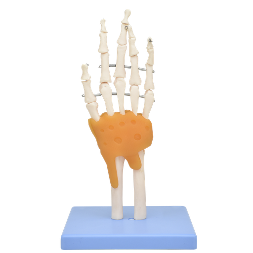 [ART-MANO-PREMIUM] Mano con ligamentos