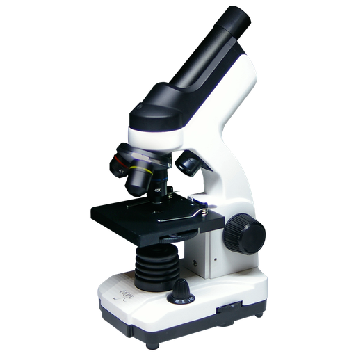[OX-DIG] Microscopio biologico monocular con camara digital