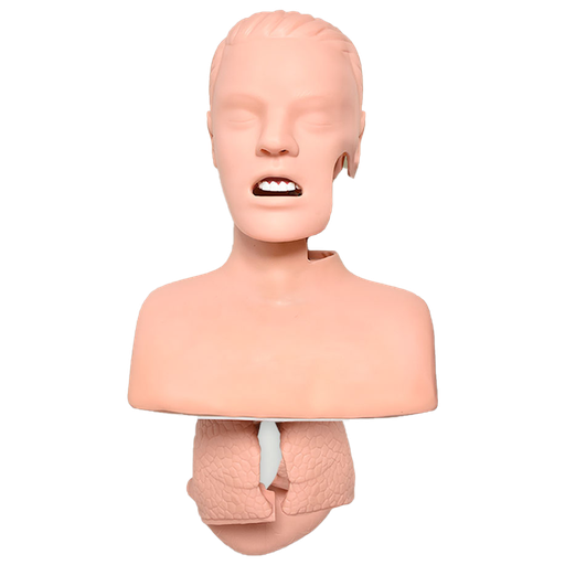 [AIR-AVA] Simulador avanzado para entrenamiento de intubación de las vías aéreas