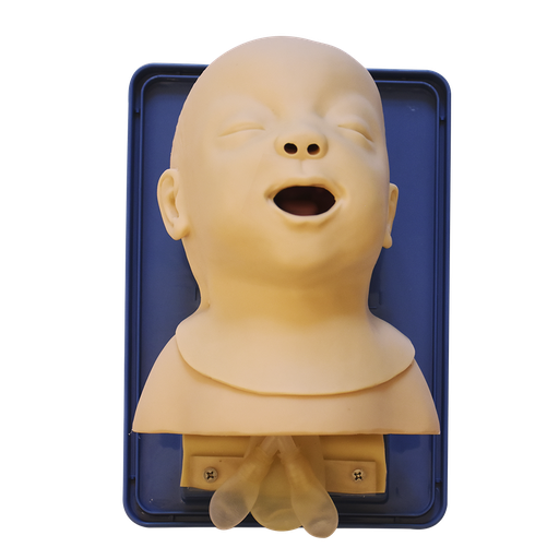 [AIR-BB] Modelo simulador para el manejo de vias aéreas en infantes.