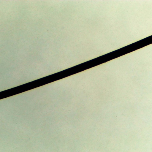 [PR-A39] Cabello humano