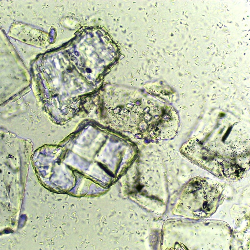 [PR-Q03] Preparación microscópica de cristales de sal