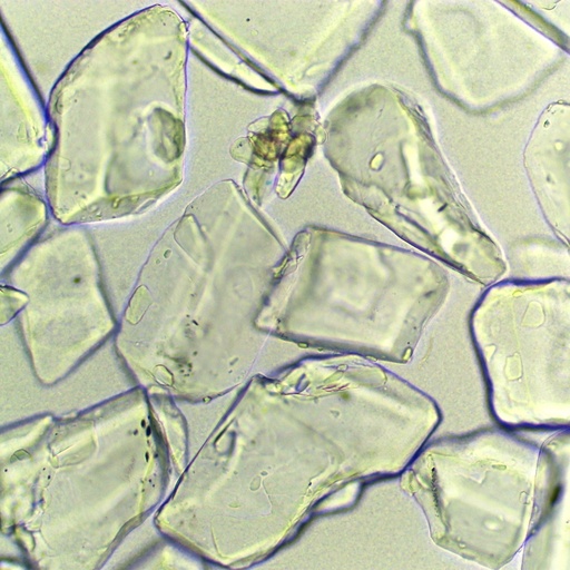 [PR-Q04] Preparación microscópica de cristales de azúcar