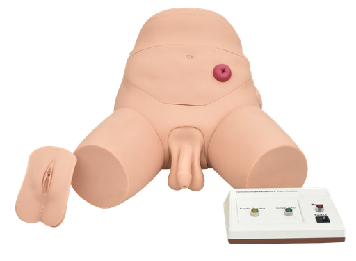 [SIM-CAT-ENE-E] Simulador electronico para entrenamiento de cateterismo y enema, bisexual