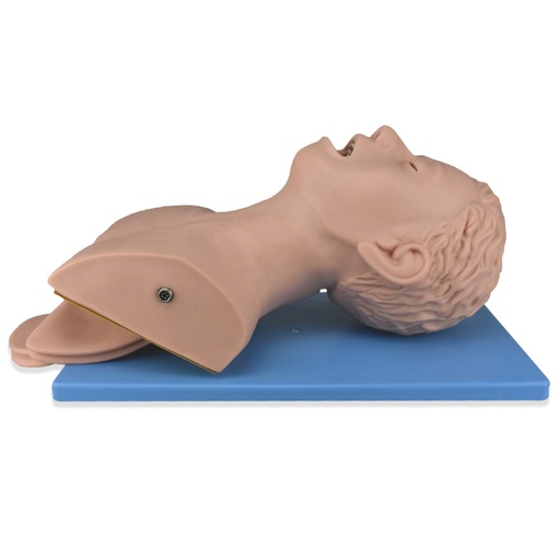 [AIR-MULT-E] Simulador de vias aereas electronico