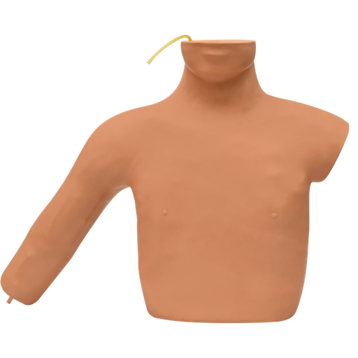 [CENTRAL] Simulador de venipuntura central de la vena carótida interna y la vena subclavia.