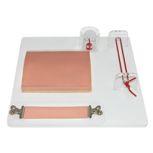 [CIR-TRAIN-AVA] Modelo para la práctica de habilidades quirúrgicas